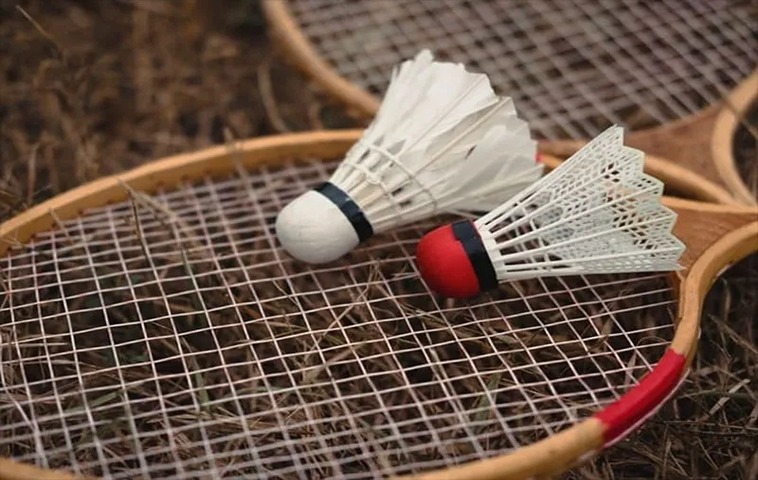 Cách Chơi Cá Cược Cầu Lông Tại SP666 Cho Tân Thủ 2 Cách Chơi Cá Cược Cầu Lông Tại SP666 Cho Tân Thủ